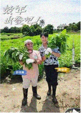 淇淇影院文化访谈综艺夜话书房海报